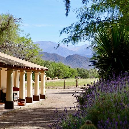 Estancia Banda Grande - Horse & Hiking Safaris Molinos Ngoại thất bức ảnh