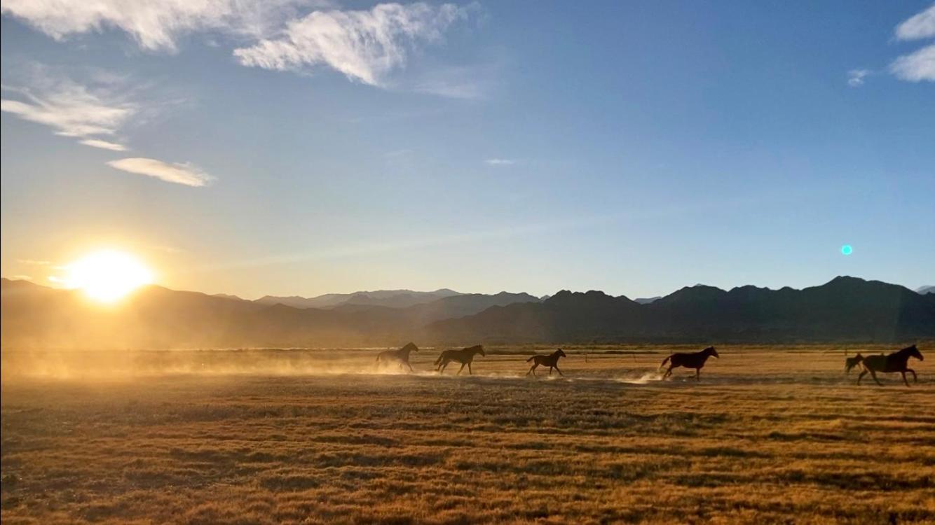 Estancia Banda Grande - Horse & Hiking Safaris Molinos Ngoại thất bức ảnh