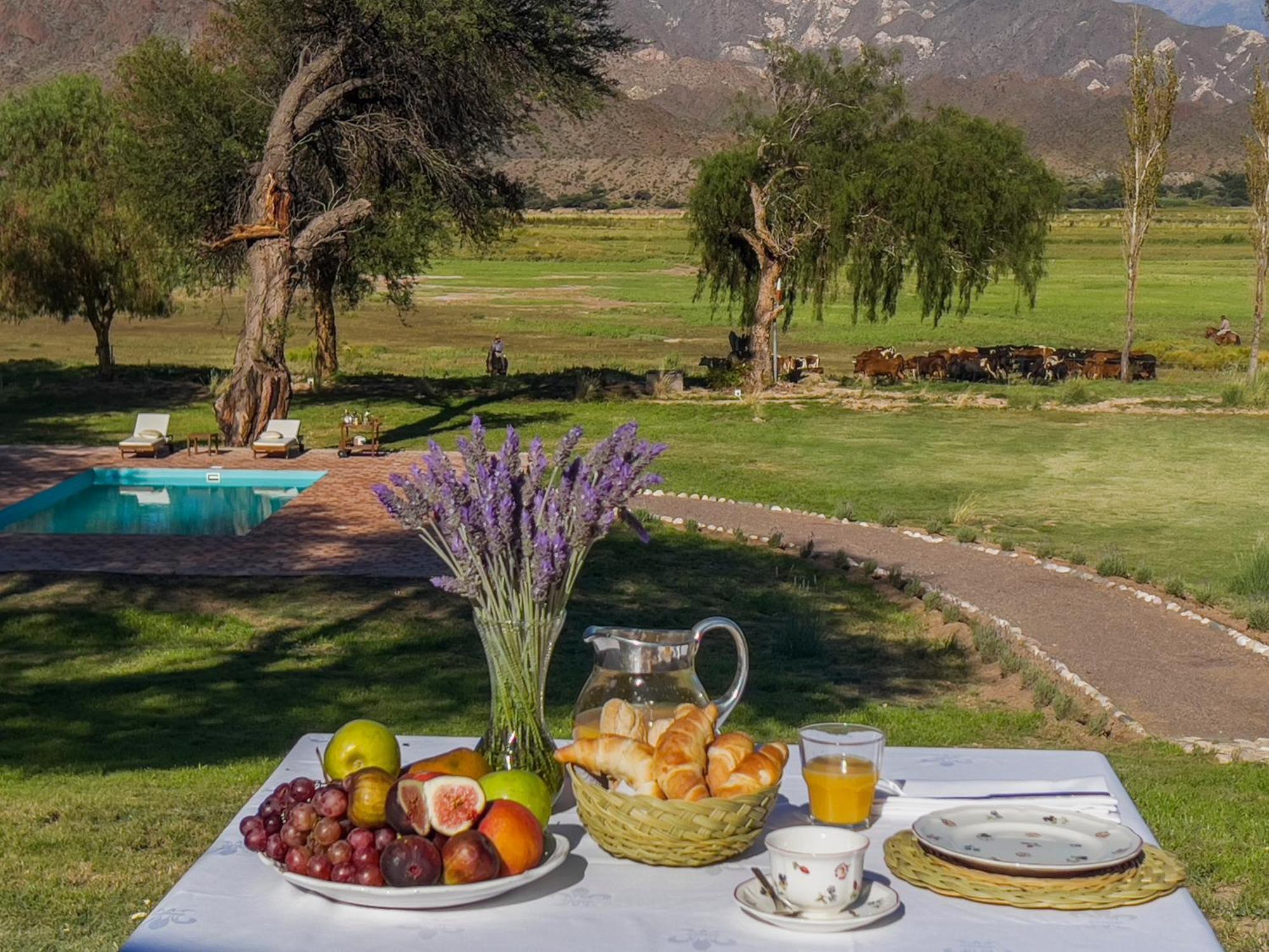 Estancia Banda Grande - Horse & Hiking Safaris Molinos Ngoại thất bức ảnh